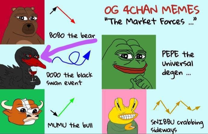 About Image